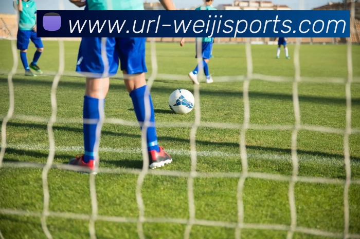 维基体育发展历程